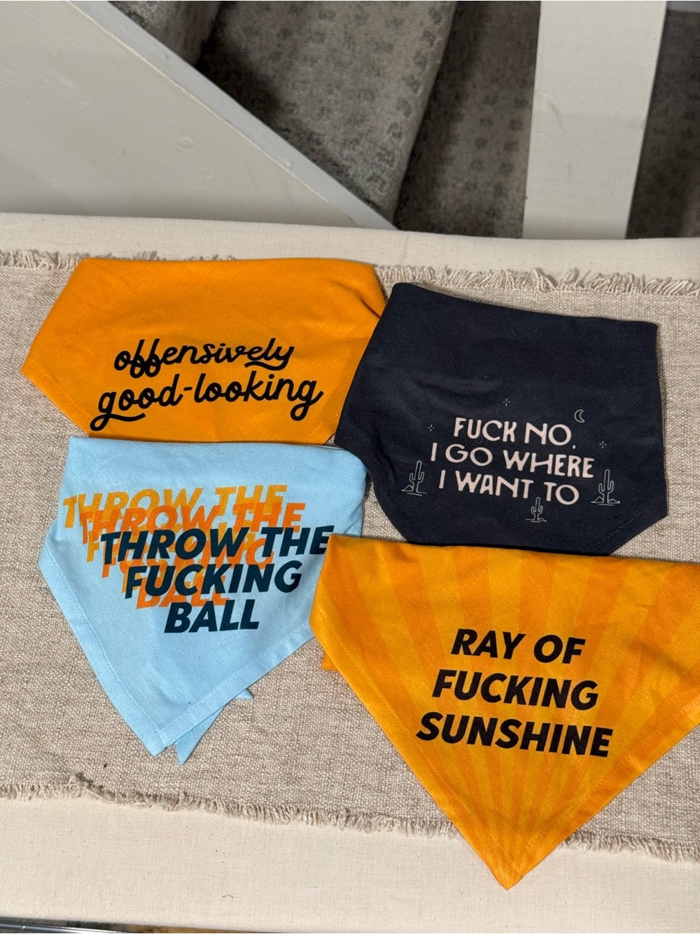 Set of 4 Ripley & Rue Dog Bandanas (OS fits up to 22” neck)